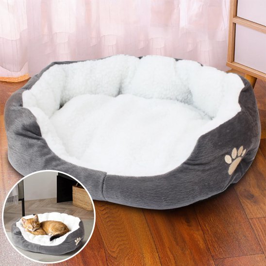 coussin chat blanc