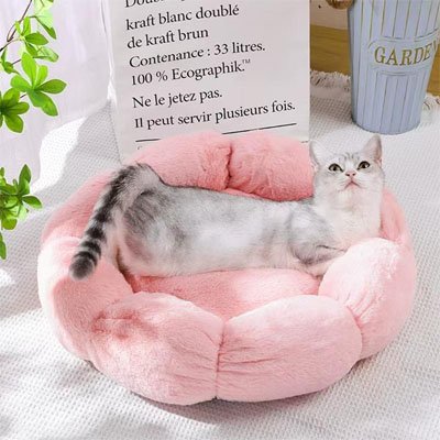 Coussin pour chat-rose