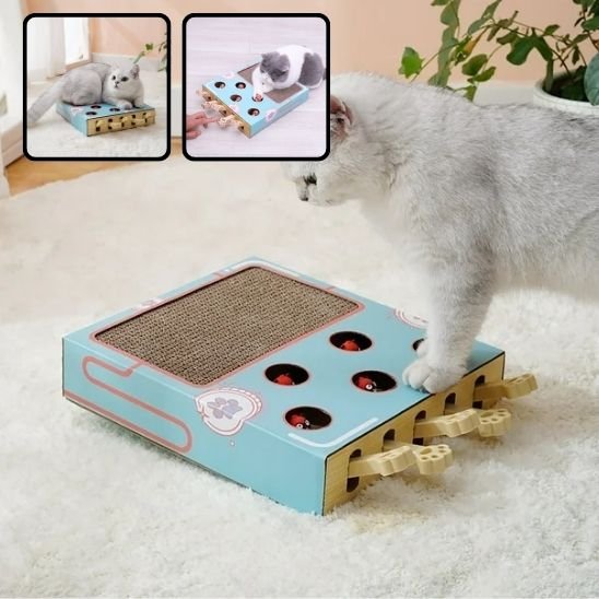 griffoir chat chat en attente de la souris