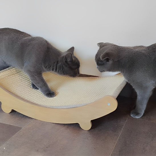 griffoir chat materiel sisal