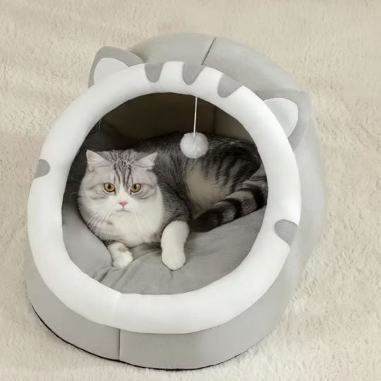 maison pour chat lavable
