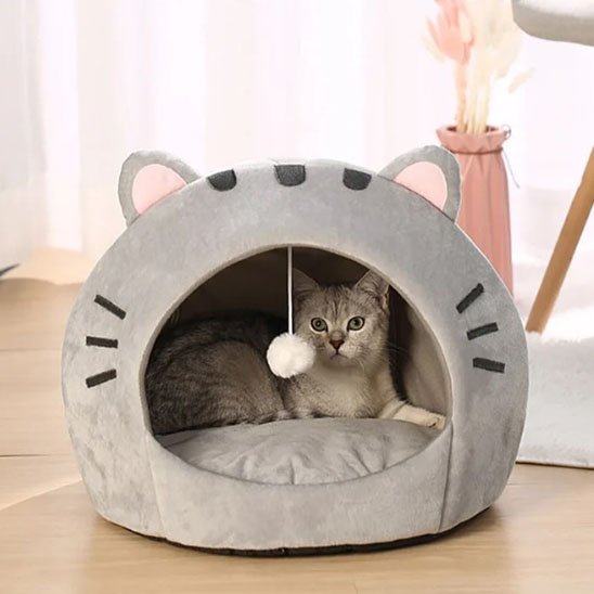 maison pour chat ludique