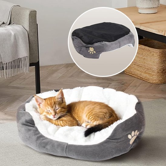 coussin chat antiglisse