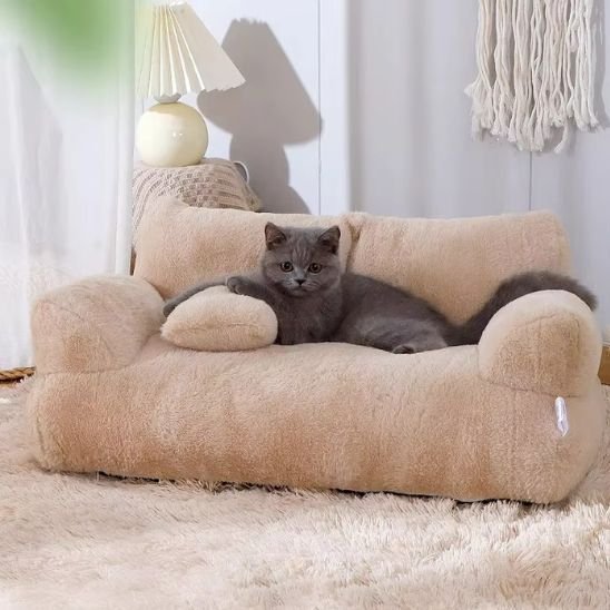 coussin chat canape elegant