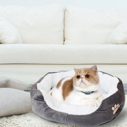 coussin chat cozy prenium