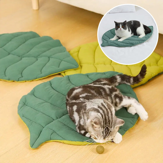 coussin chat deux faces