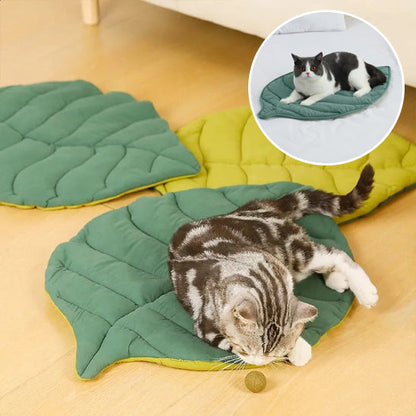 coussin chat deux faces