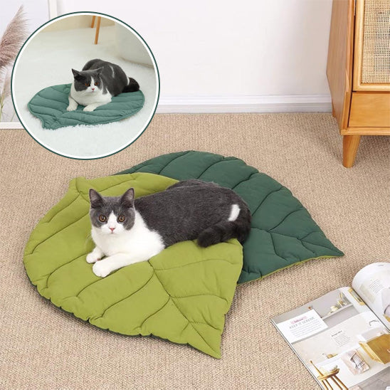 coussin chat double