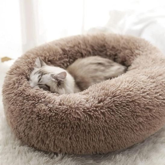 coussin chat douillet