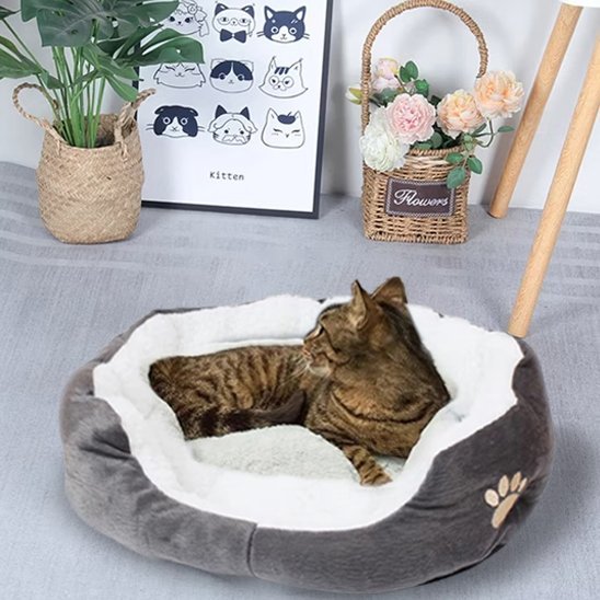 coussin chat doux