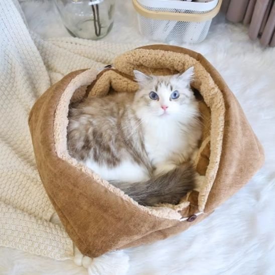 coussin chat enveloppant