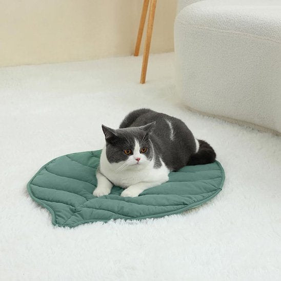 coussin chat feuille
