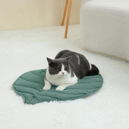 coussin chat feuille