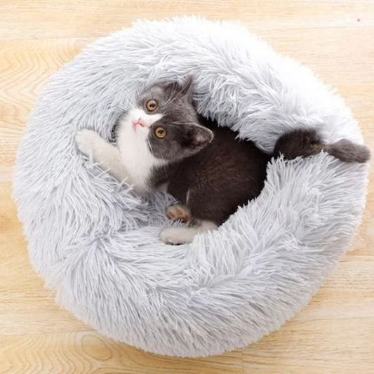 coussin chat gris clair
