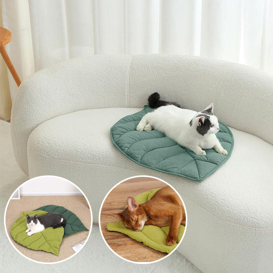 coussin chat moderne