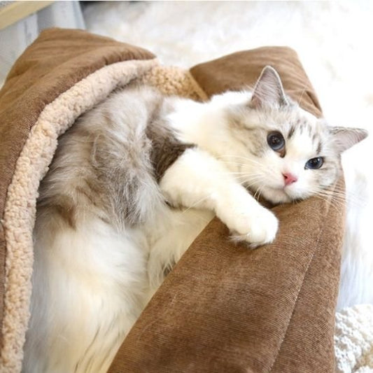 coussin chat multifonctionnel