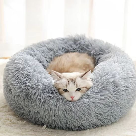 coussin chat nid