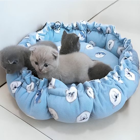coussin chat petits ours