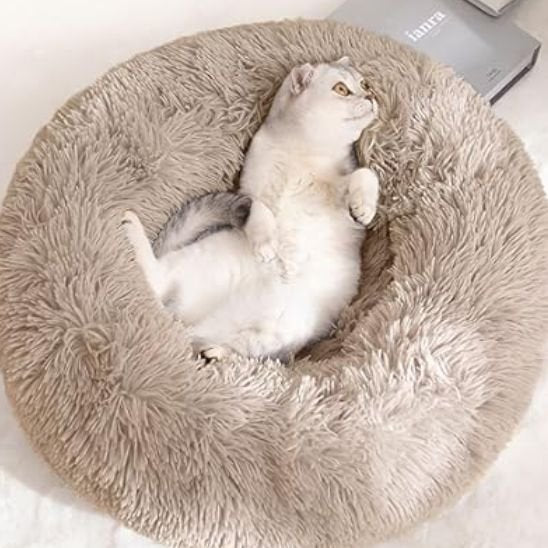 coussin chat taupe