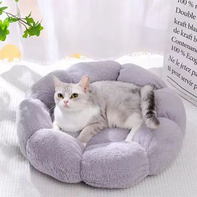 Coussin pour chat agreable