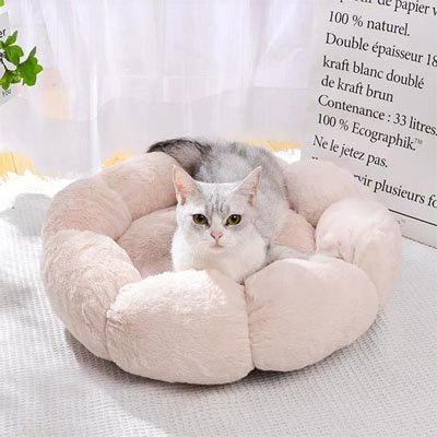 coussin pour chat creme
