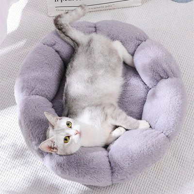 coussin pour chat gris