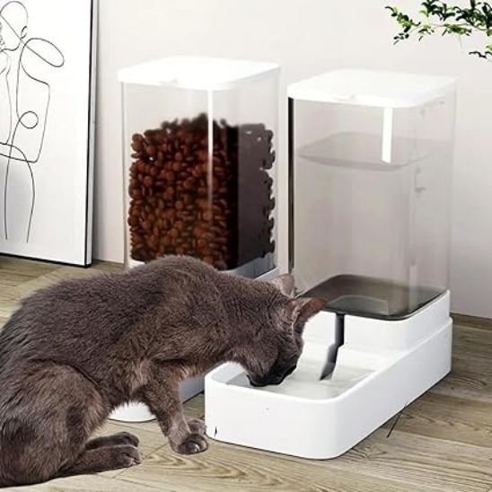 Distributeur de croquettes pour chat nettoyage facile