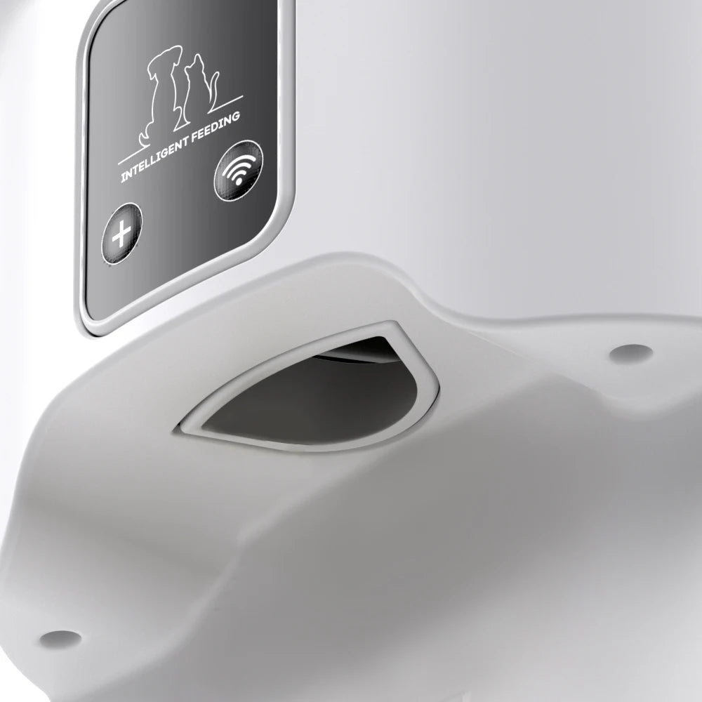 Distributeur de croquettes pour chat wifi intelligent