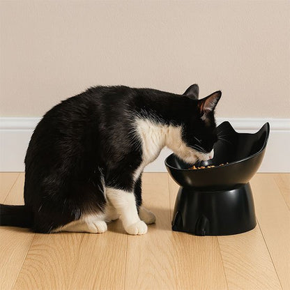 gamelle chat anti basulement