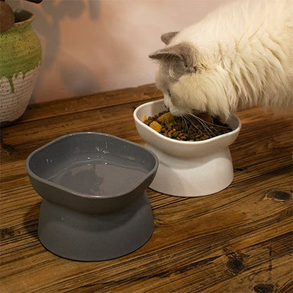 gamelle chat anti vomissements