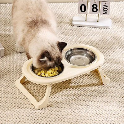gamelle chat bol nourriture pour chat