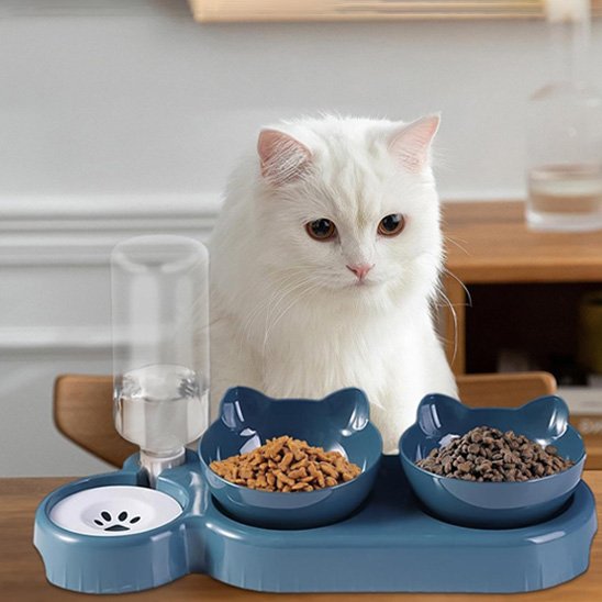 gamelle chat deco ludique