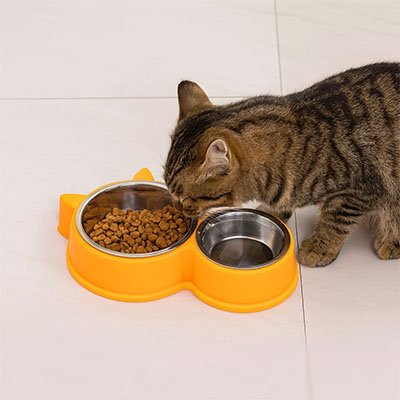 gamelle chat jaune soleil