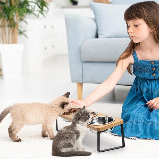 gamelle chat petits chatons