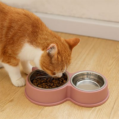 gamelle chat plat a boire