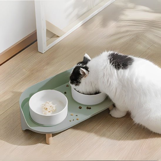 gamelle chat plat alimentation