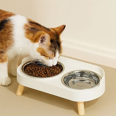 gamelle chat sureleve