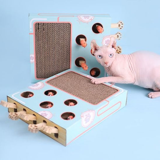 griffoir chat boite interactive pour chat