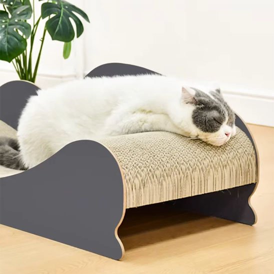 griffoir chat chat endormie