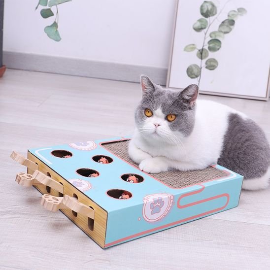 griffoir chat jeu et griffoir