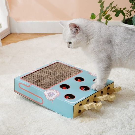 griffoir chat palette de bois