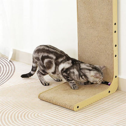 griffoir chat un chat joue avec une balle
