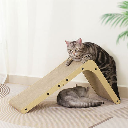 griffoir chat un chat percher sur le griffoir