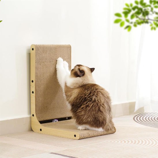 griffoir chat un chat gratte un griffoir 