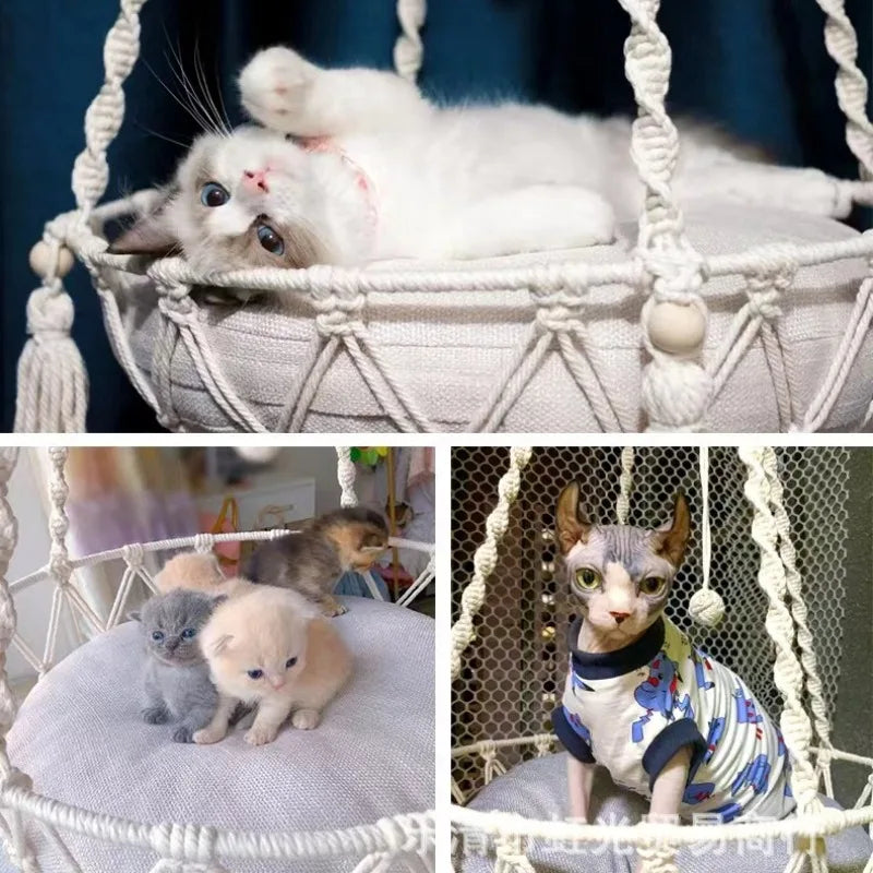 hamac pour chat animaux