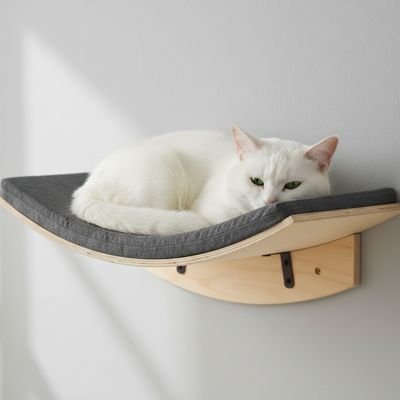 hamac pour chat avec un chat blanc