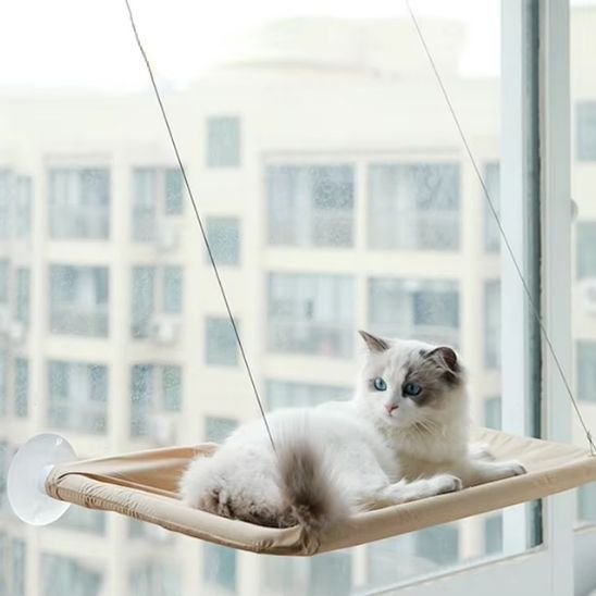 hamac pour chat beige