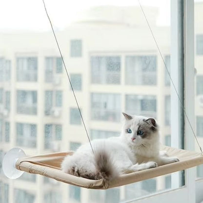 hamac pour chat beige