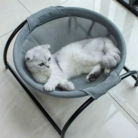 Hamac pour chat calme