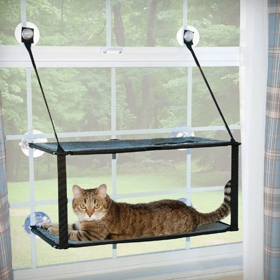 hamac pour chat resistant